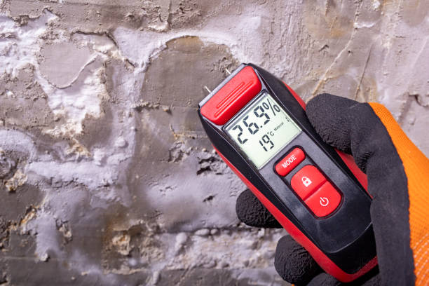 Best Attic Mold Remediation in Amery, WI