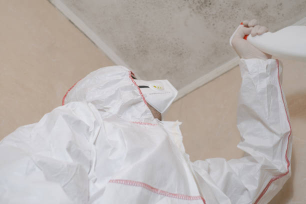 Best Mold Testing and Inspection Services in Amery, WI