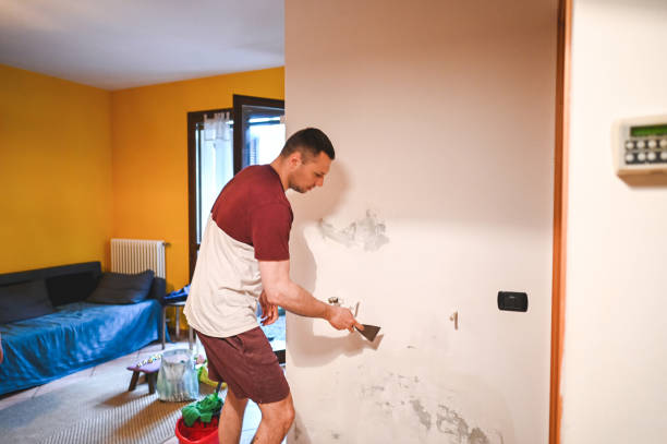 Professional Mold Remediation in Amery, WI